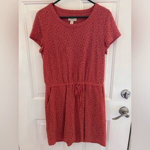 LOFT Lace Dress